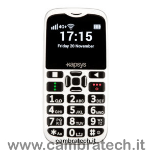 Immagine della faccia anteriore del MiniVision 2+ cellulare parlante semplificato con tastiera in rilievo e comandi vocali